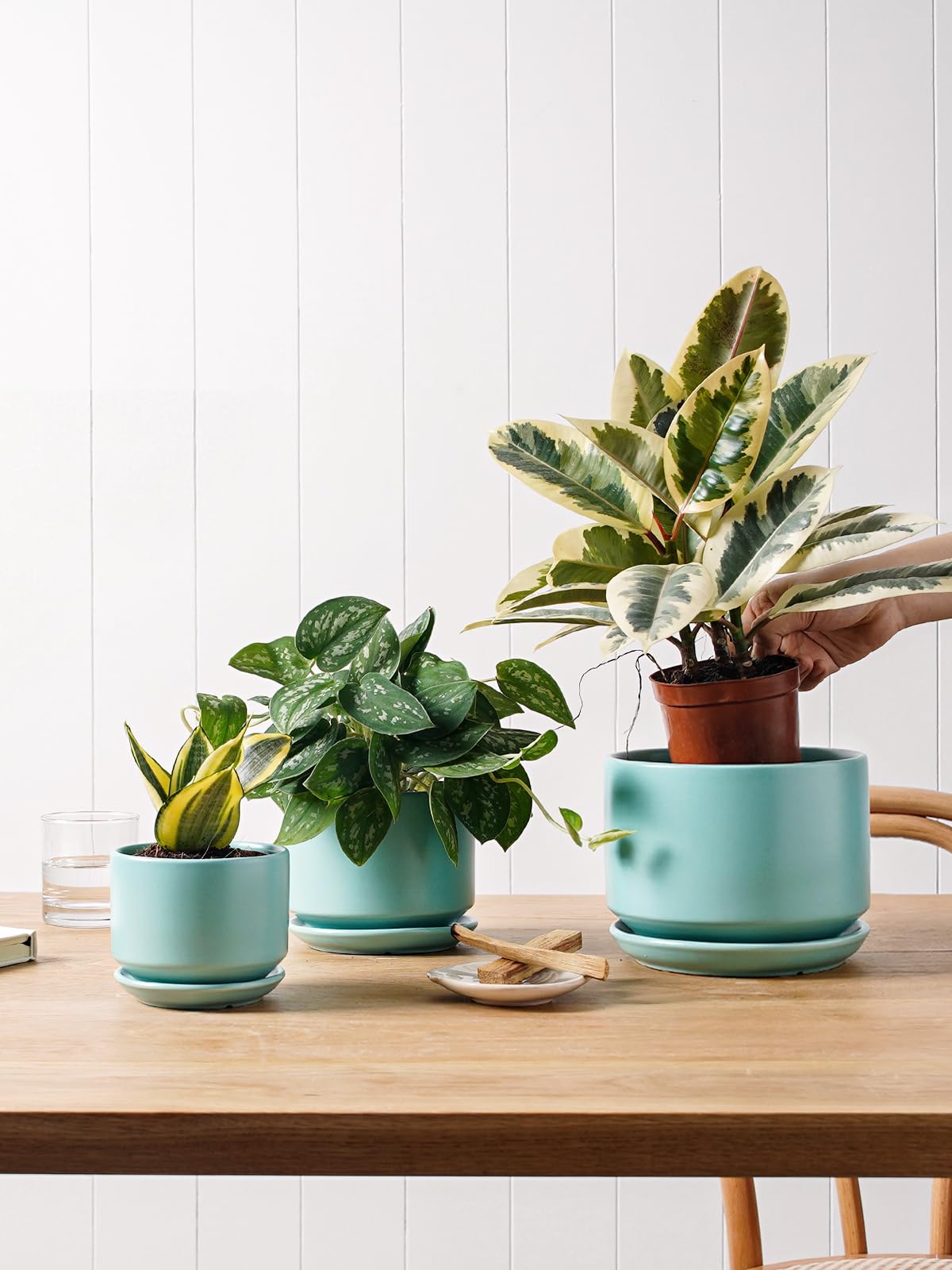 LE TAUCI pot emphasizes drainage hole to prevent soil sogginess and root rot.
