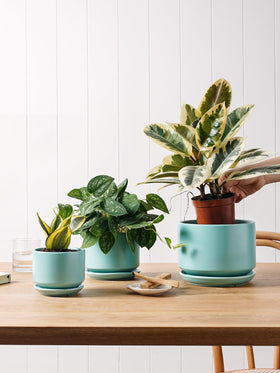 LE TAUCI pot emphasizes drainage hole to prevent soil sogginess and root rot.