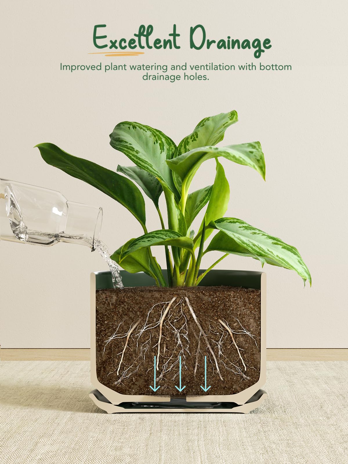 LE TAUCI drainage-hole pot promotes healthy soil by preventing soggy roots.