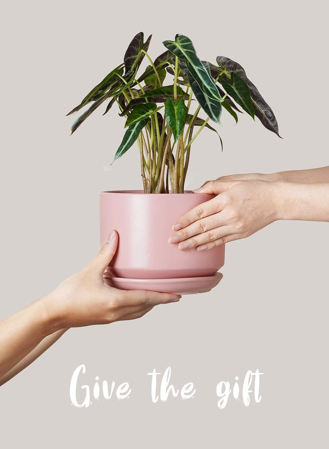 LE TAUCI planters suitable for indoor and outdoor use