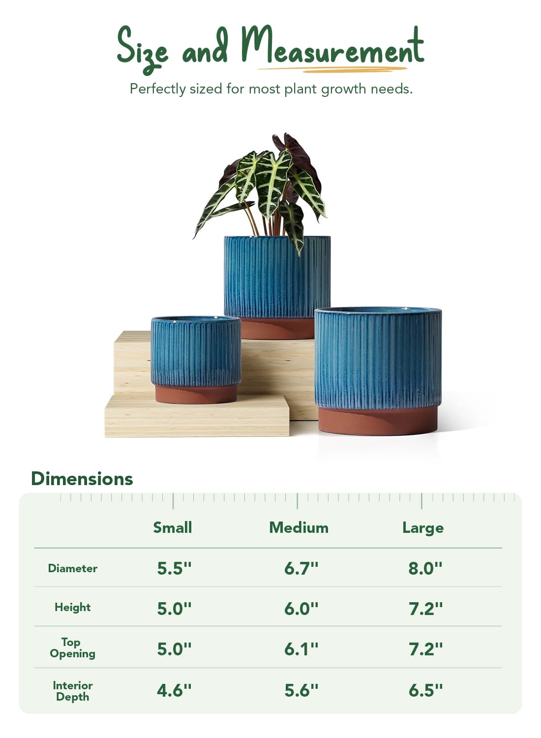 LE TAUCI mesh pad inside highlights soil stability and drainage