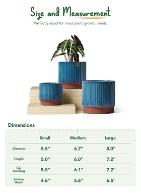 LE TAUCI mesh pad inside highlights soil stability and drainage