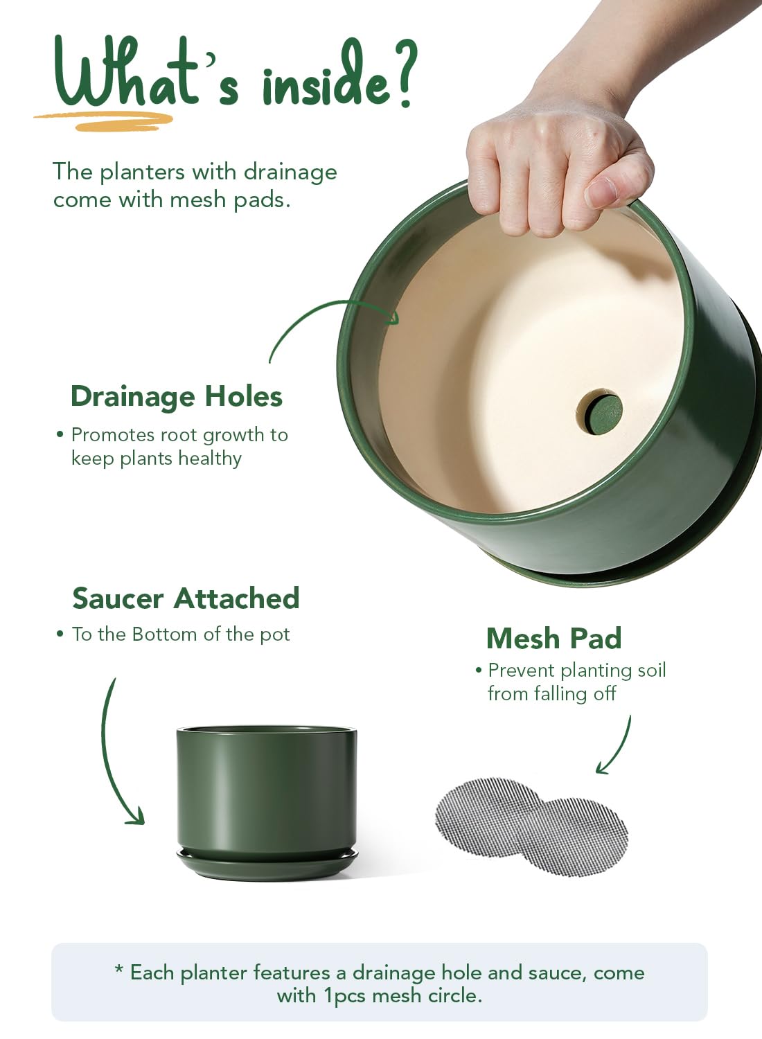 LE TAUCI pot with attached saucer keeps surfaces clean during watering.