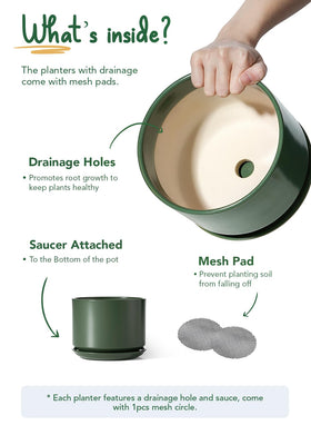 LE TAUCI pot with attached saucer keeps surfaces clean during watering.