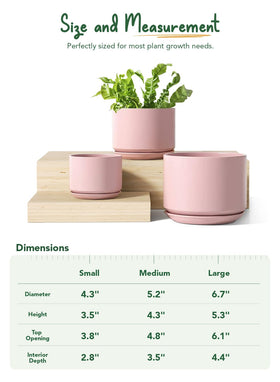 LE TAUCI three-size set displayed together