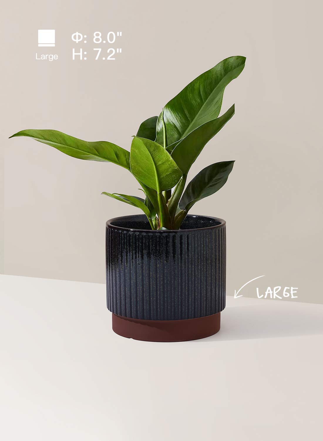 LE TAUCI ceramic striped pot 6.7inch suitable for versatile placements