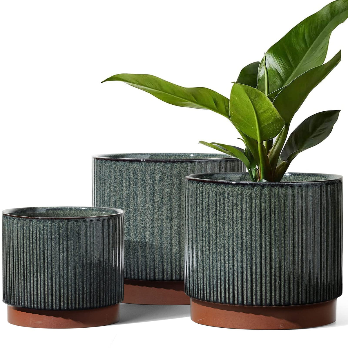 LE TAUCI ceramic striped pot 8inch in black reactive glaze for stylish indoors