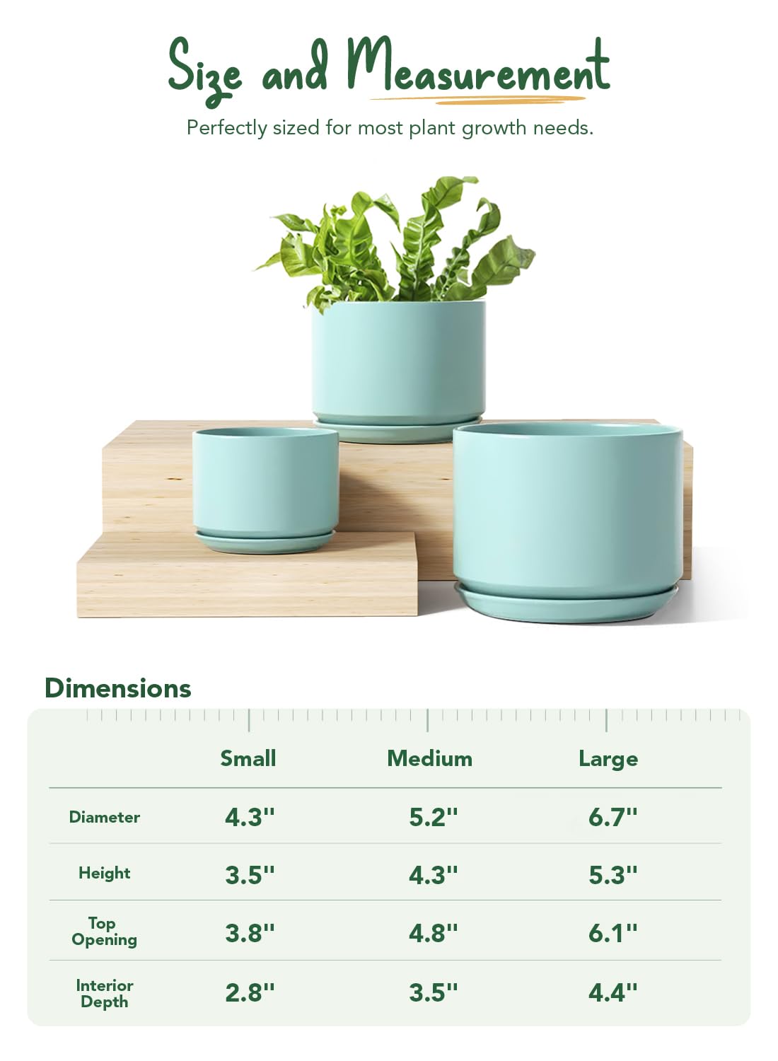LE TAUCI pot with matching saucer keeps surfaces clean and dry.