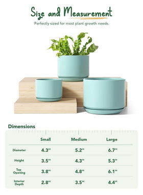 LE TAUCI pot with matching saucer keeps surfaces clean and dry.