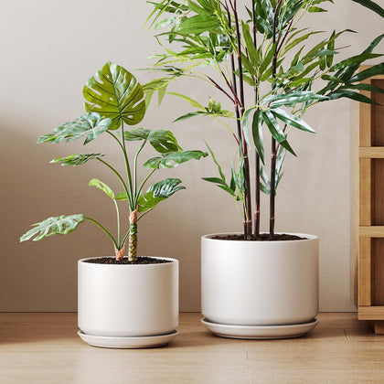 LE TAUCI 10-inch white ceramic pot for stylish indoor displays
