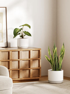 LE TAUCI 12-inch white ceramic pot for larger indoor greenery