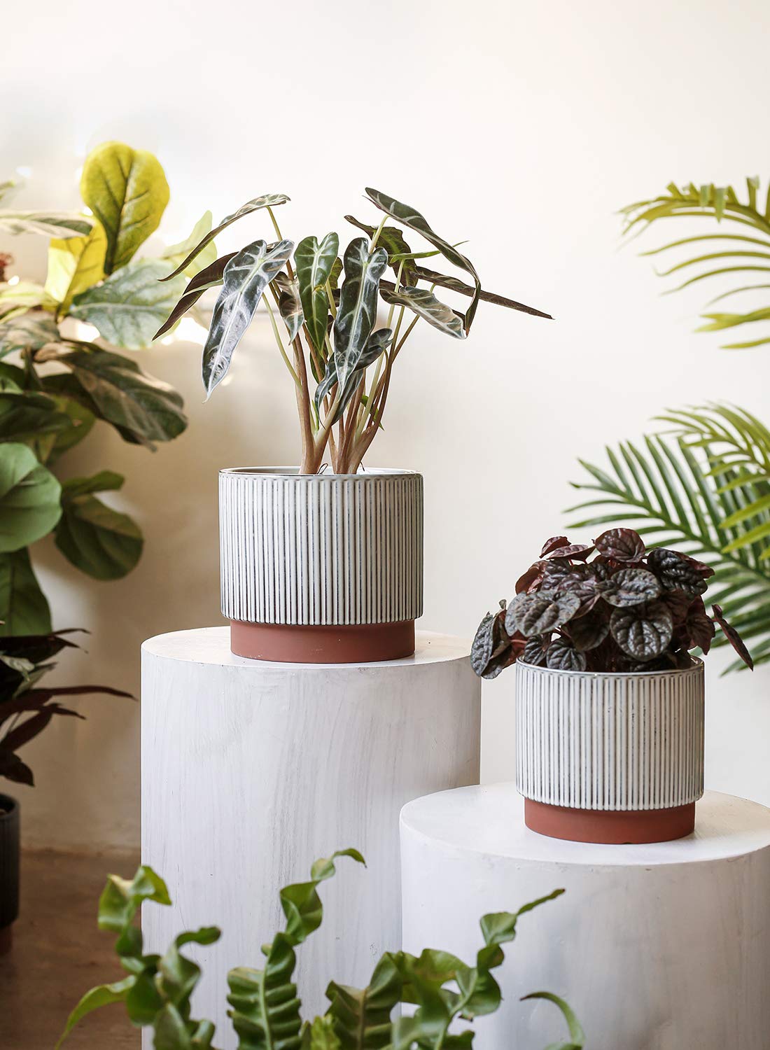 LE TAUCI 5.5-inch ceramic pot supports small plants with neat compact profile