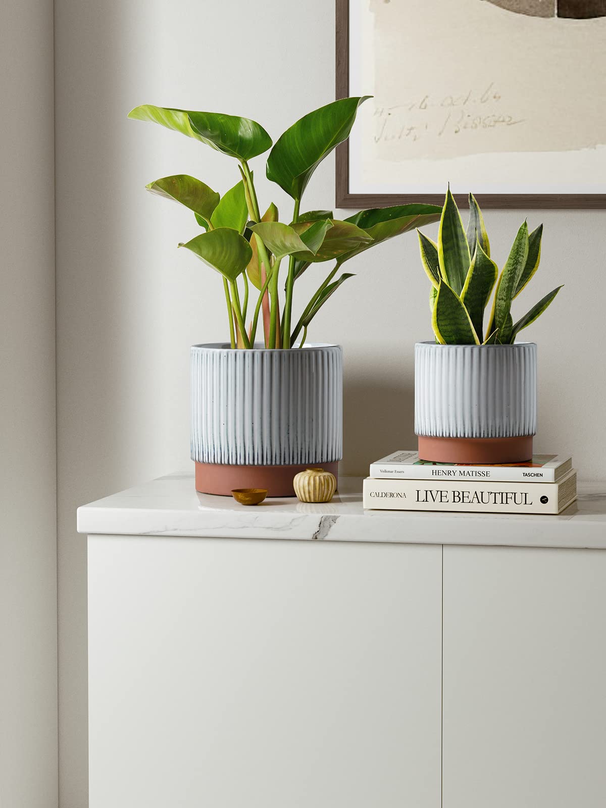 LE TAUCI 6.7-inch ceramic pot elevates mid size houseplants with a clean modern silhouette