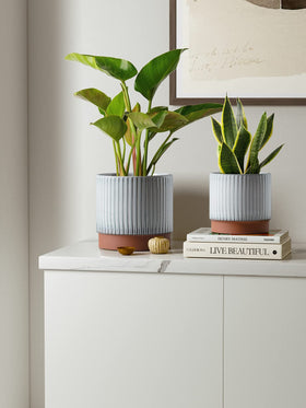 LE TAUCI 6.7-inch ceramic pot elevates mid size houseplants with a clean modern silhouette