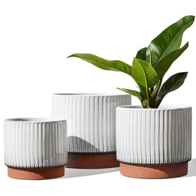 LE TAUCI ceramic pot 8-inch featuring ribbed white glaze enhances living room decor