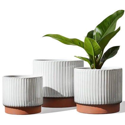 LE TAUCI ceramic pot 8-inch featuring ribbed white glaze enhances living room decor