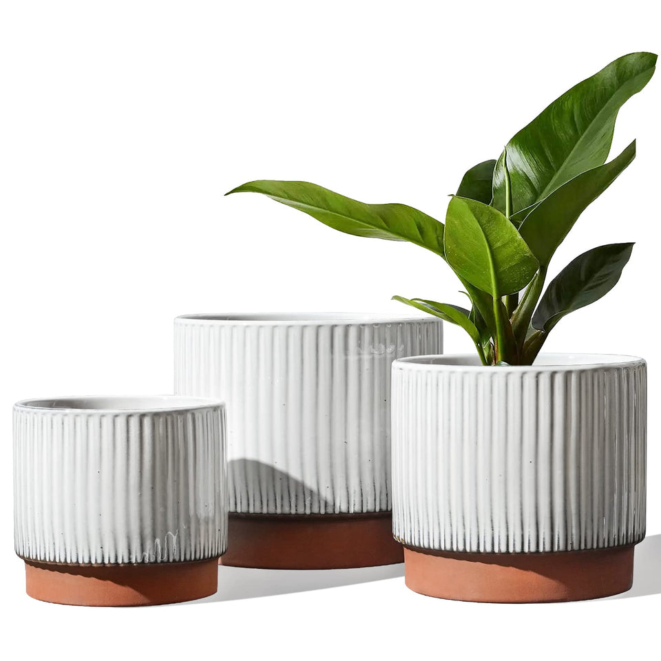 LE TAUCI ceramic pot 8-inch featuring ribbed white glaze enhances living room decor