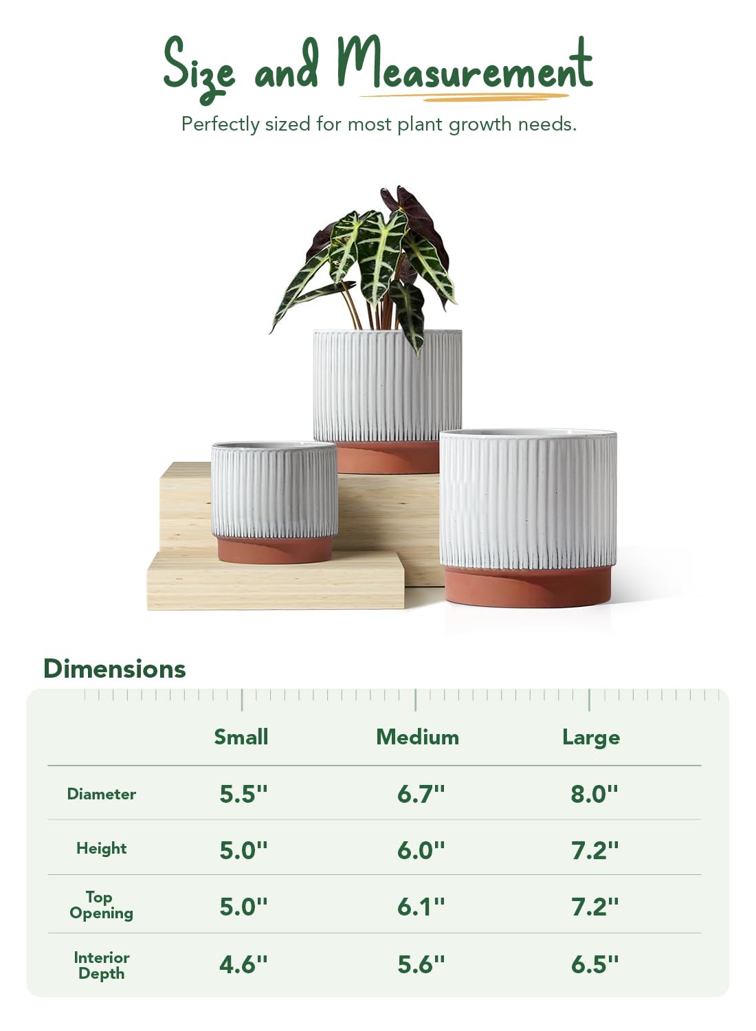 LE TAUCI removable silicone plug included for indoor display versatility