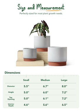 LE TAUCI removable silicone plug included for indoor display versatility