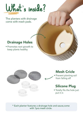 LE TAUCI gift-ready ceramic pot packaging ideal for gifting plant lovers.