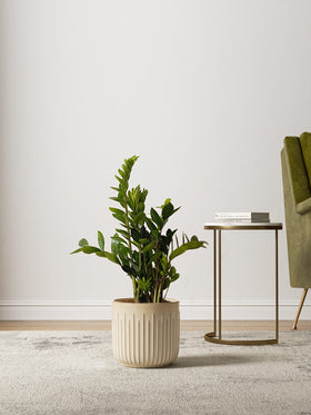 LE TAUCI pot with silicone plug shows adjustable watering for herbs.