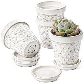 LE TAUCI ceramic succulent pot embossed Arctic White glaze enhances indoor decor.