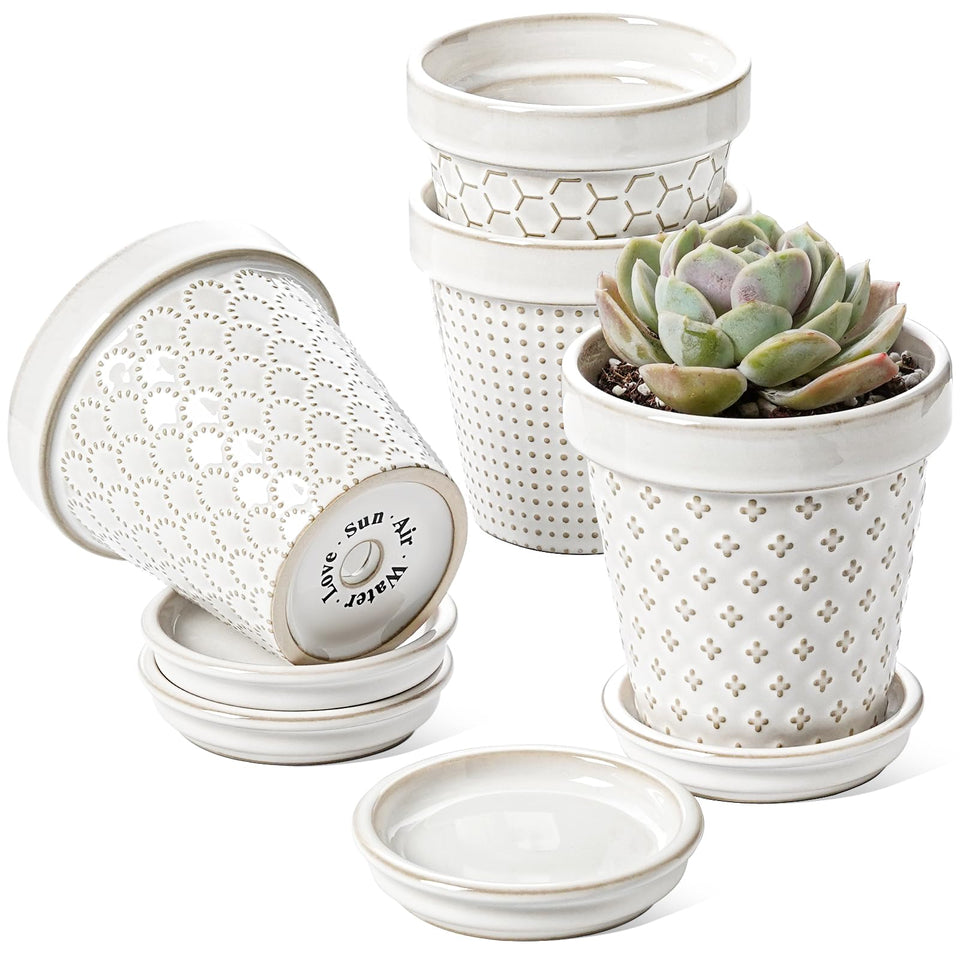 LE TAUCI ceramic succulent pot embossed Arctic White glaze enhances indoor decor.