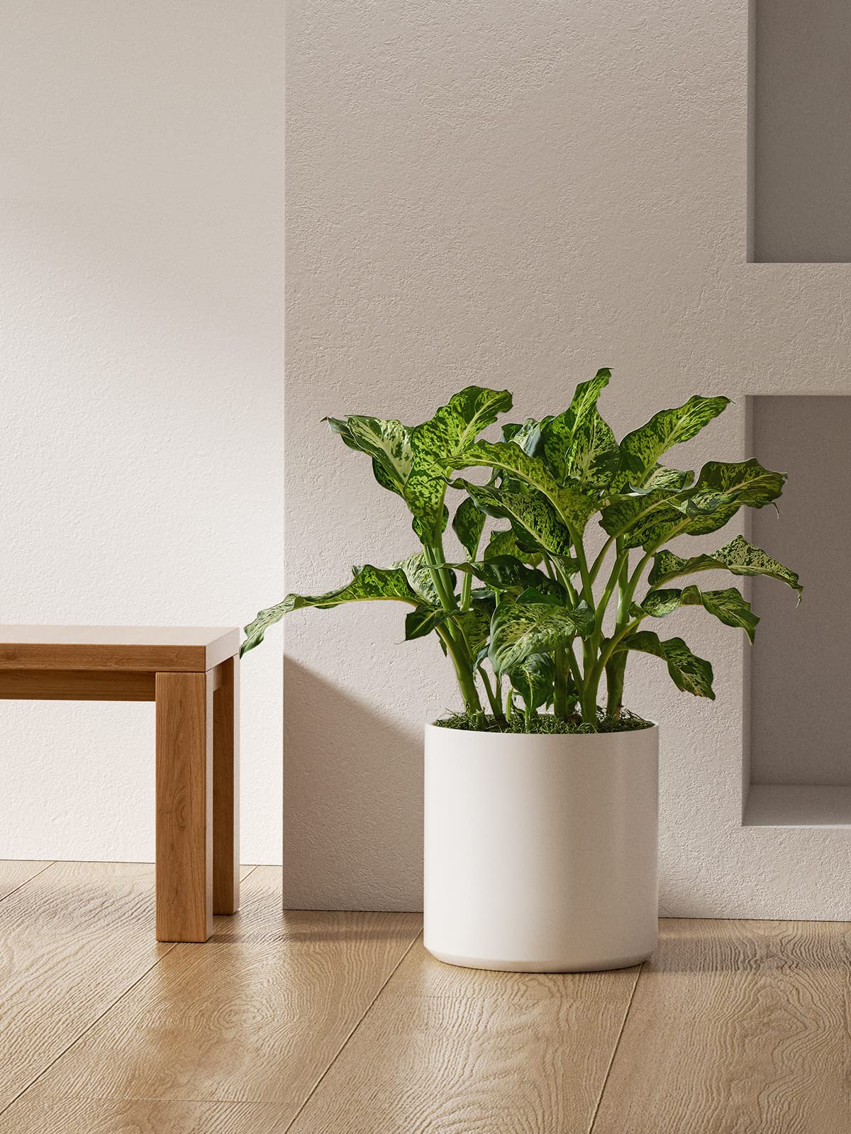 Textured ceramic surface of LE TAUCI planter up close