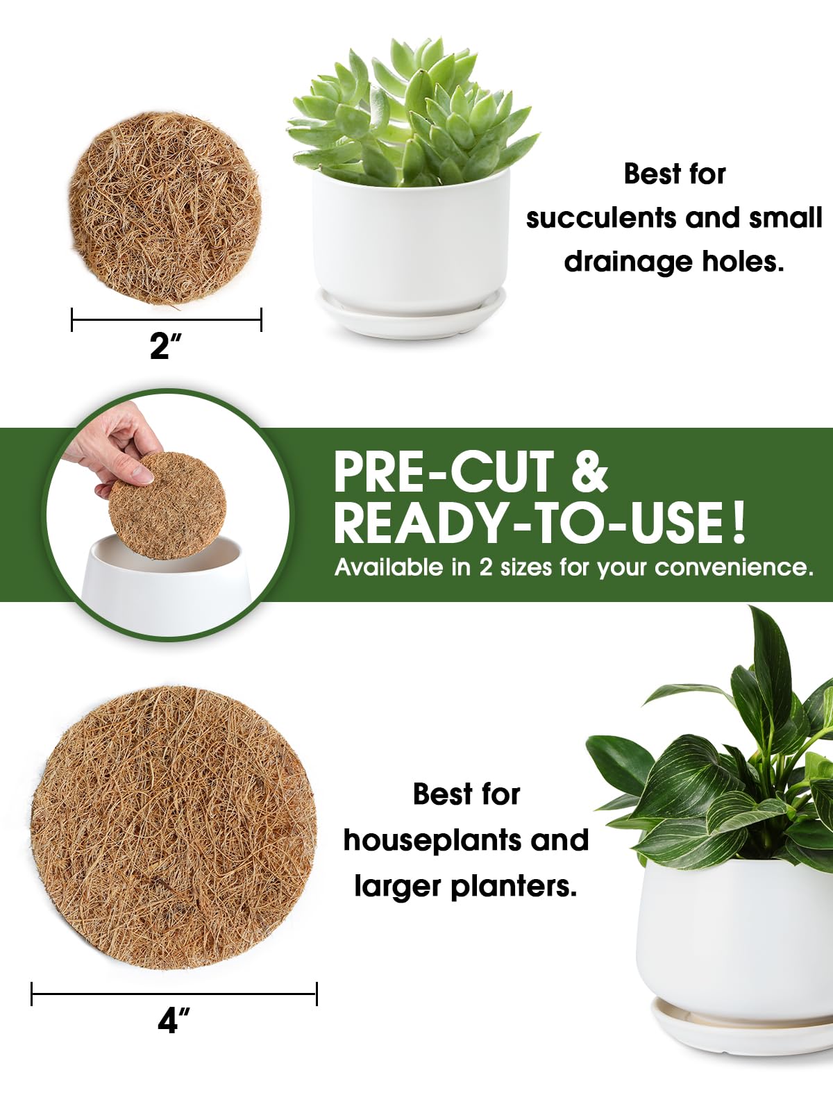 LE TAUCI 2-inch drainage pad prevents soil washing out in standard pots.