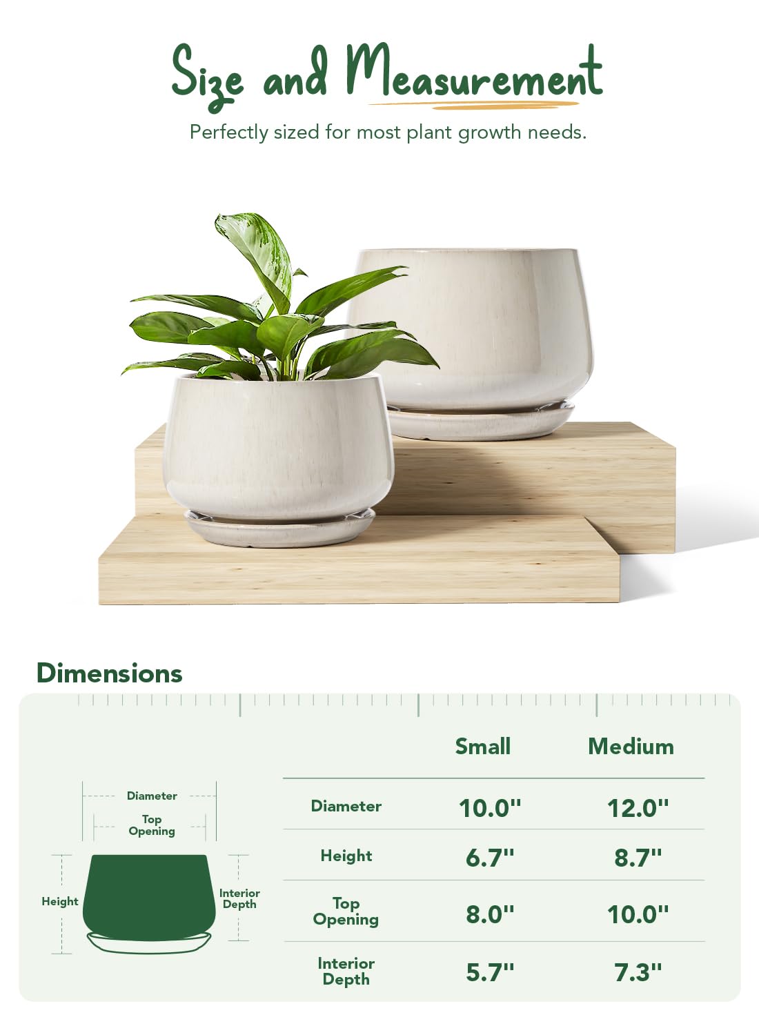 LE TAUCI drainage-hole pot with saucer to support healthy moisture management.