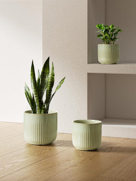 LE TAUCI planter with drainage hole enables easy water management