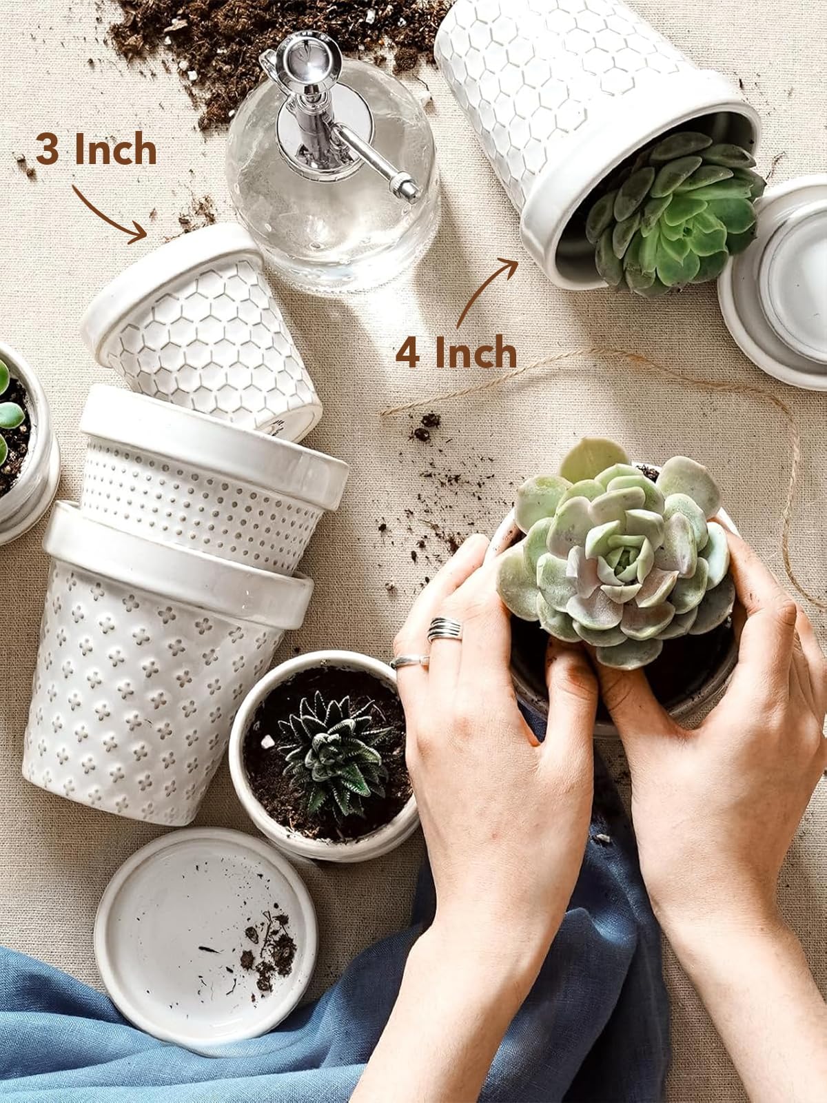 LE TAUCI embossed flower pot adds texture to tabletops and shelves.