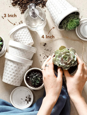 LE TAUCI embossed flower pot adds texture to tabletops and shelves.