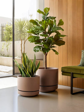 LE TAUCI gallery-grade finish enhances display in living rooms and offices.