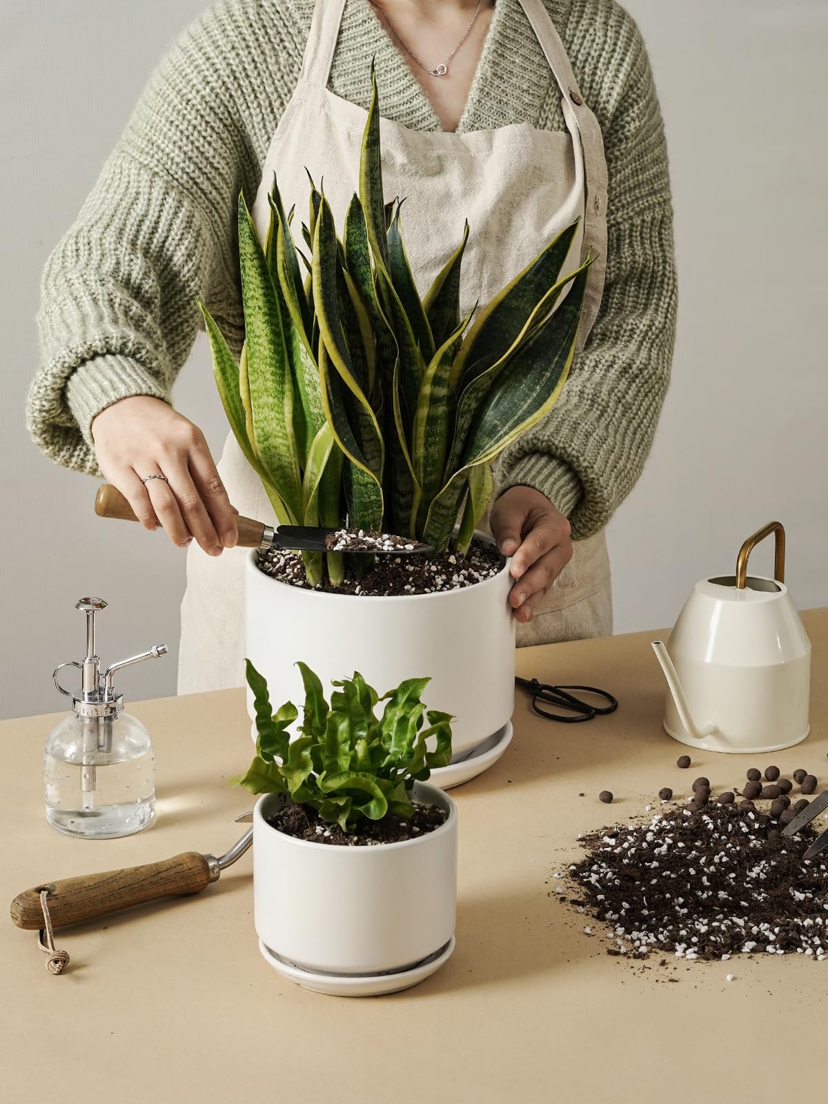 LE TAUCI gift-ready ceramic plant pot packaging image