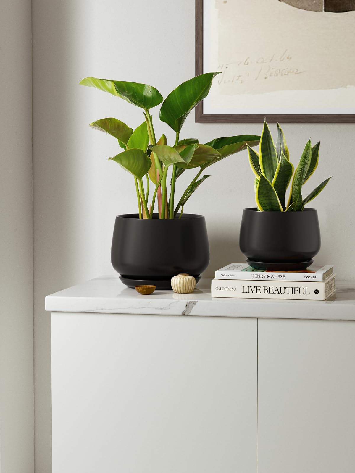 LE TAUCI gift-ready packaging makes a thoughtful gift for plant lovers.
