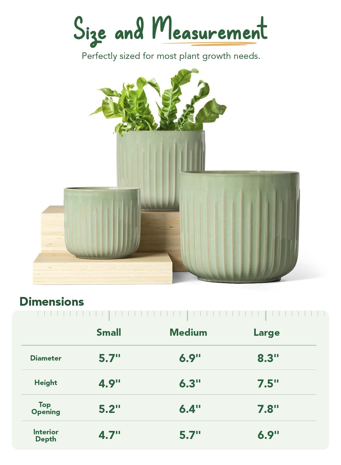 LE TAUCI gift-ready packaging for plant lovers