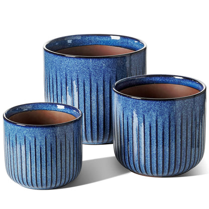 LE TAUCI Harbor Blue 8.3-inch planter with glaze elevates shelf displays