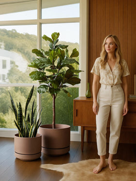 LE TAUCI indoor-outdoor planter suitable for homes and patios.