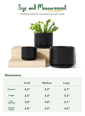 LE TAUCI indoor-outdoor pots withstand temperature changes and daily use.