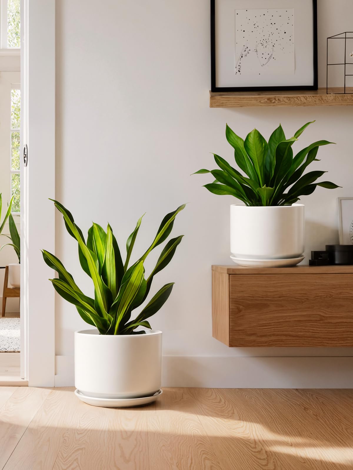 LE TAUCI sleek matte glaze finish on ceramic planters