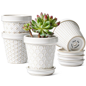 LE TAUCI mini succulent pot in Arctic White for tiny lithops display
