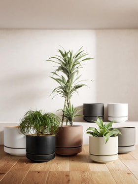 LE TAUCI minimalist design complements home or office spaces.