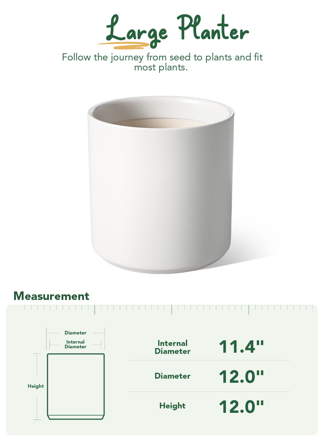 Monstera plant showcased in LE TAUCI white ceramic planter