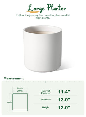 Monstera plant showcased in LE TAUCI white ceramic planter
