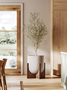 LE TAUCI office living room display elevates plant decor