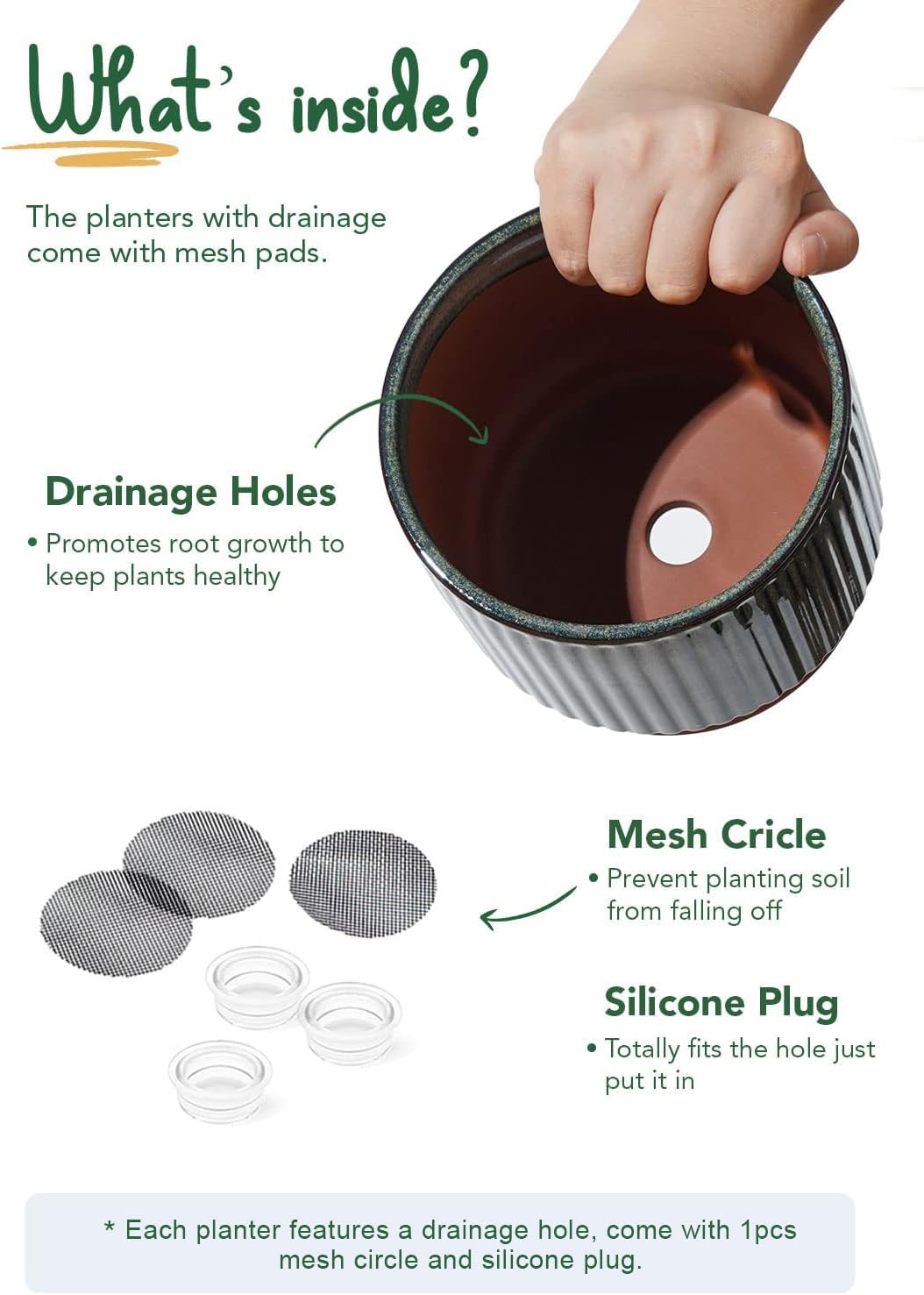 LE TAUCI packaging with drop-test assurance for safe arrival