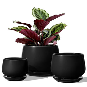 LE TAUCI plant pots set of 3 on a table, ideal for small succulents.