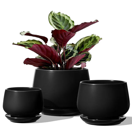 LE TAUCI plant pots set of 3 on a table, ideal for small succulents.