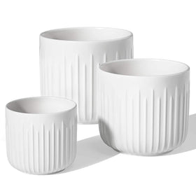 LE TAUCI gift box makes a stylish housewarming present